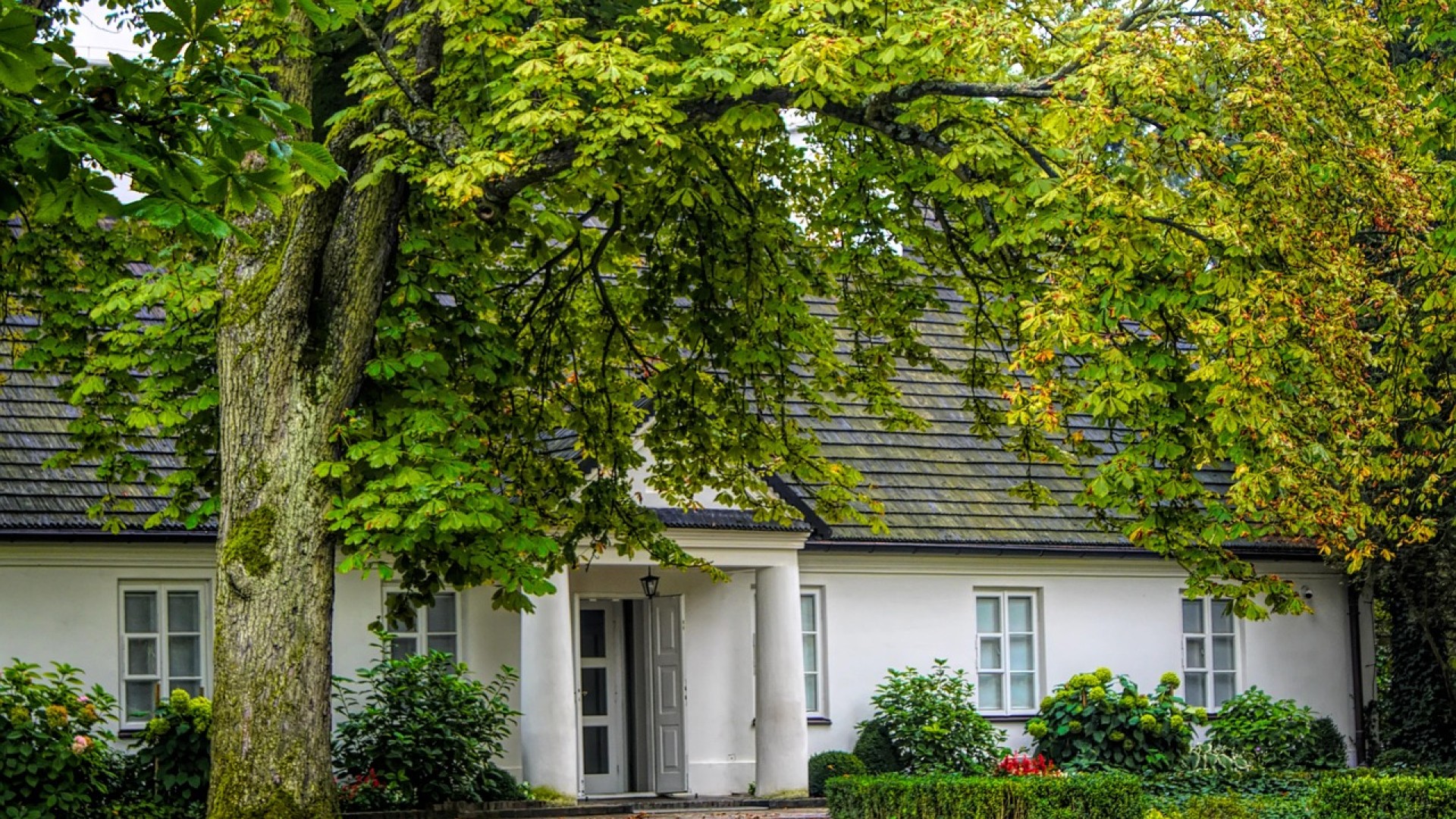 Wola Mrokowska, Poland